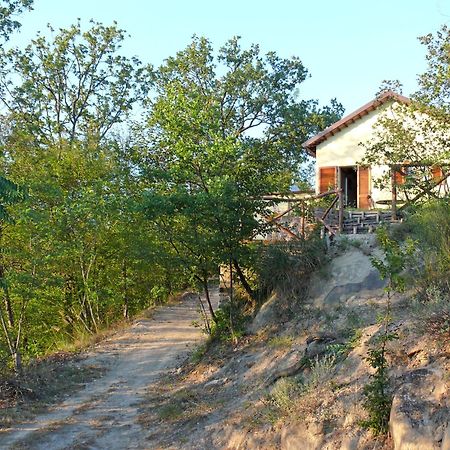 B&B Terra Di Mezzo Ascoli Piceno Bagian luar foto