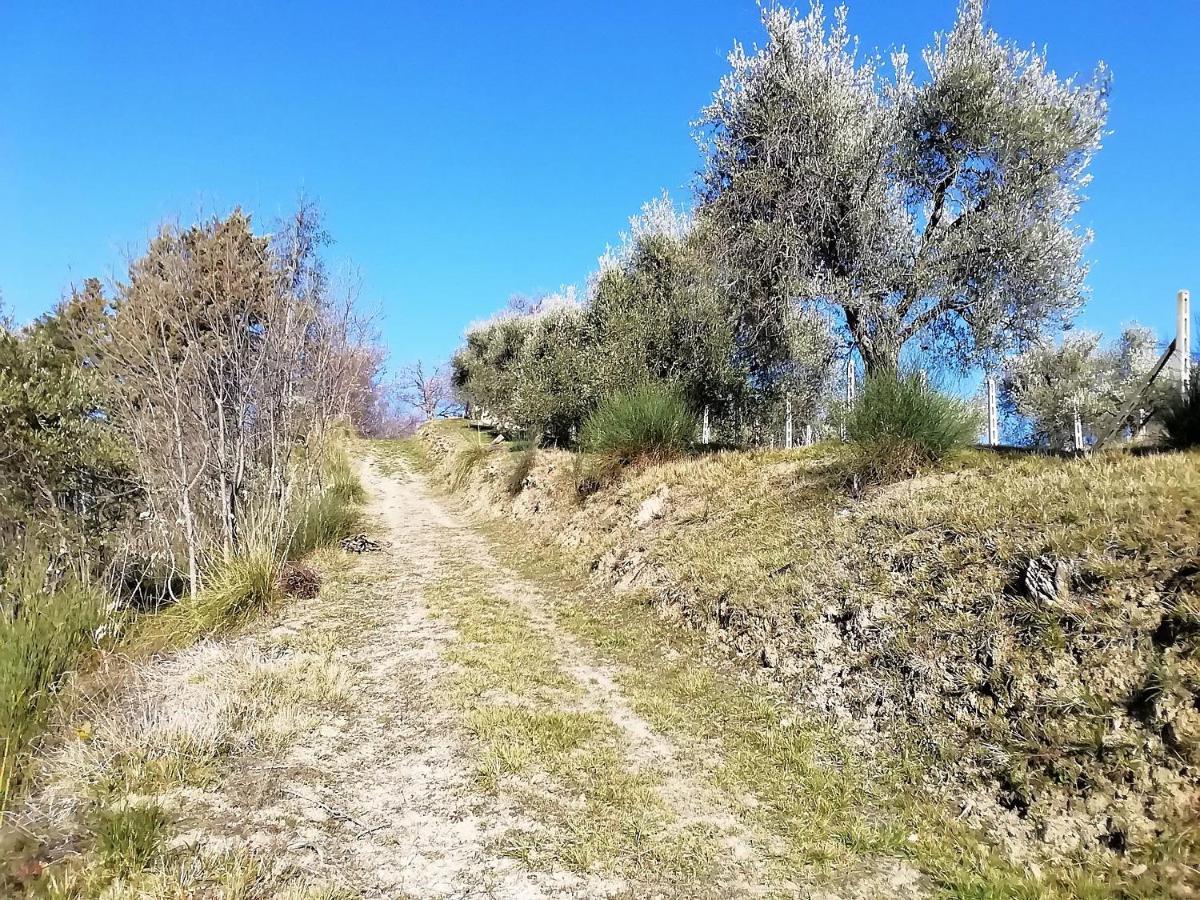 B&B Terra Di Mezzo Ascoli Piceno Bagian luar foto