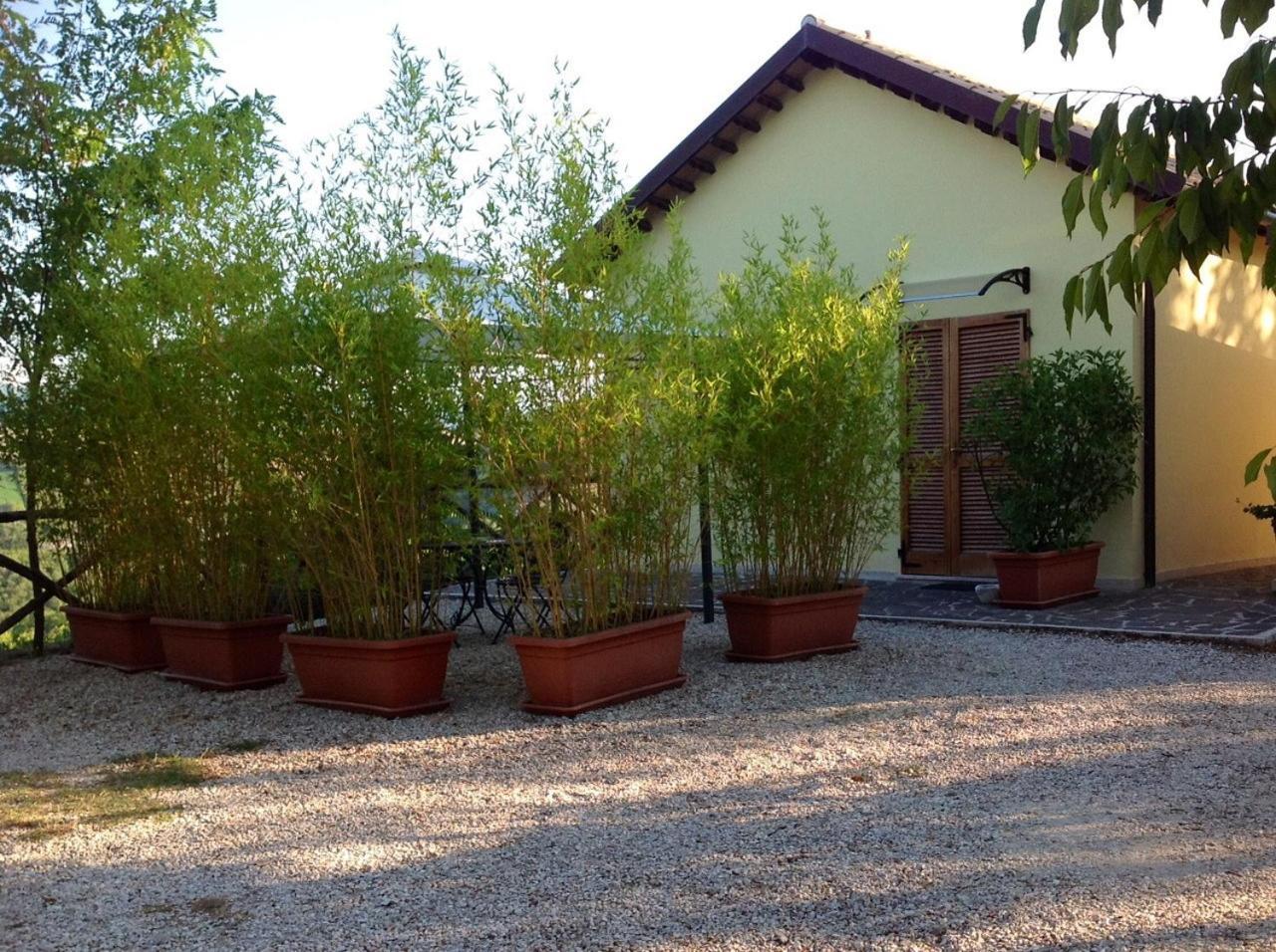 B&B Terra Di Mezzo Ascoli Piceno Bagian luar foto