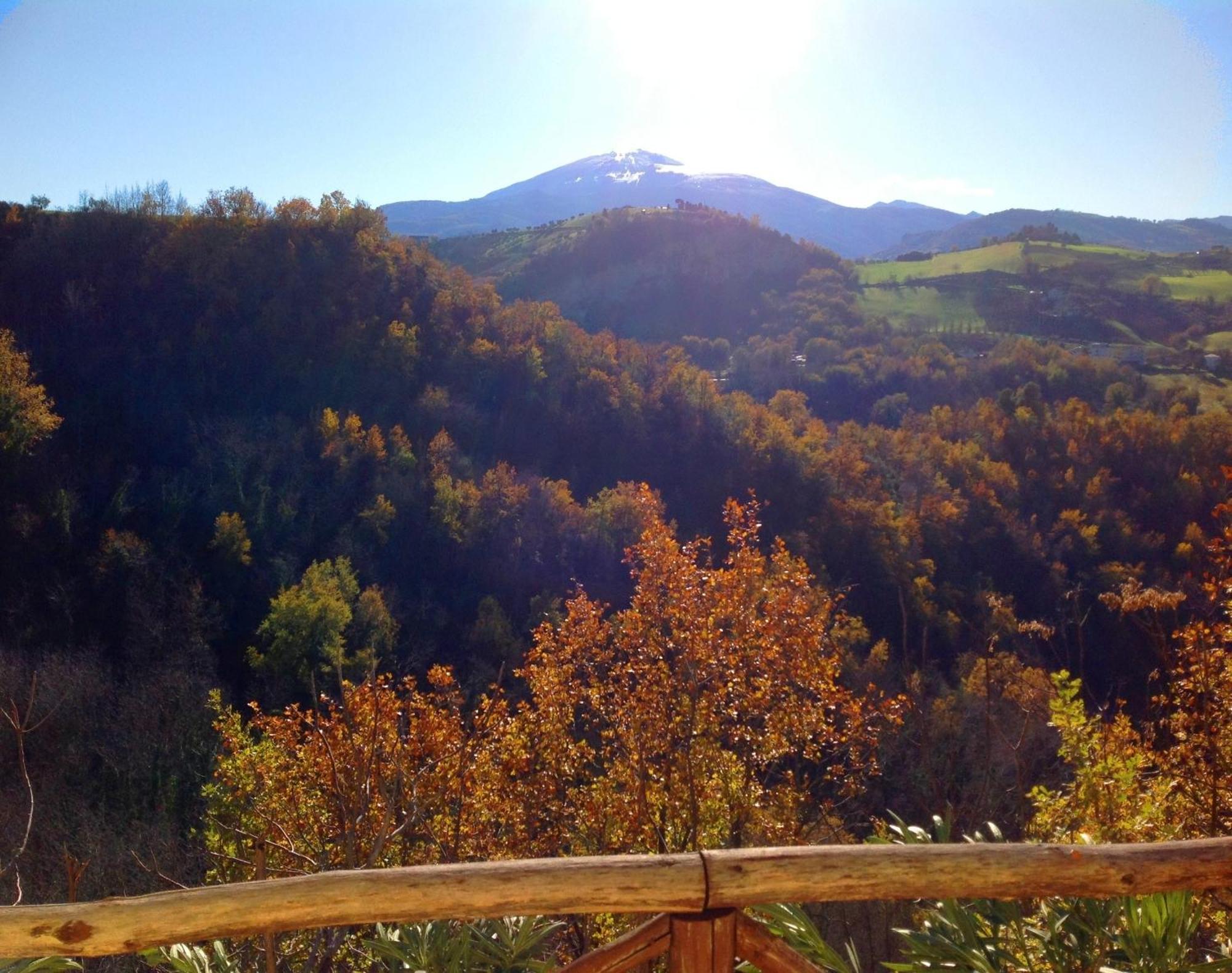 B&B Terra Di Mezzo Ascoli Piceno Bagian luar foto